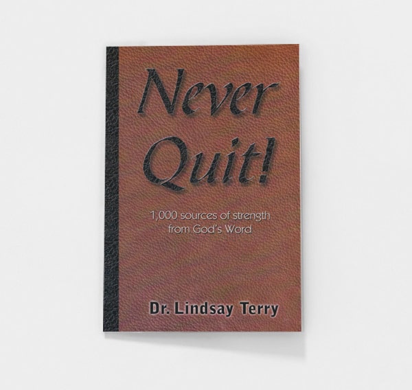 Never Quit by Lindsay Terry