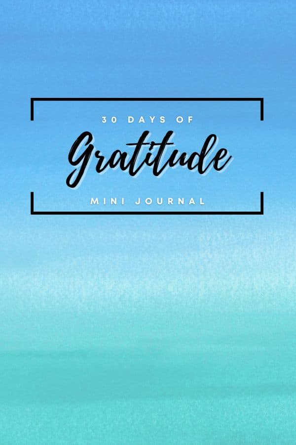 30 Days of Gratitude Grief Journal